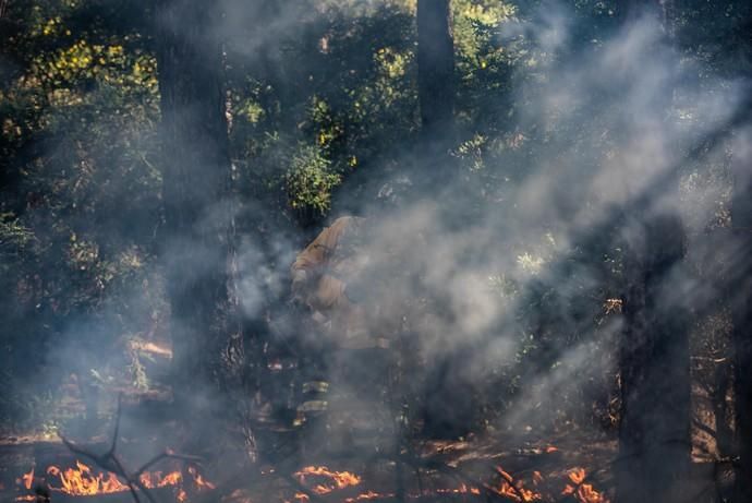 La UME realiza prácticas de prevención de incendios en Gran Canaria