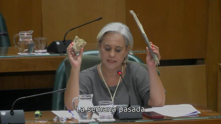La concejala tránsfuga de Vox en Zaragoza saca un palo y una piedra en medio del Pleno del ayuntamiento: "Son las armas que usaron los invasores contra el ejército español"