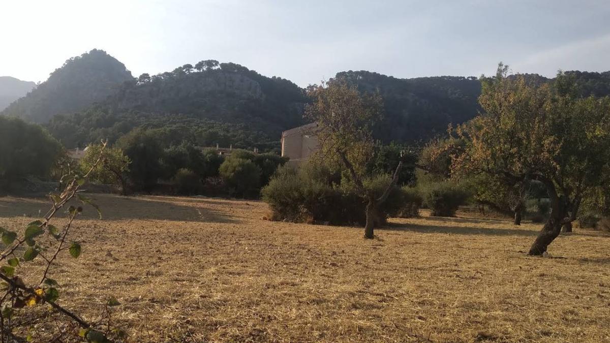 Imagen de la ubicación aproximada de la finca adquirida por el Ayuntamiento de Selva en 2020.