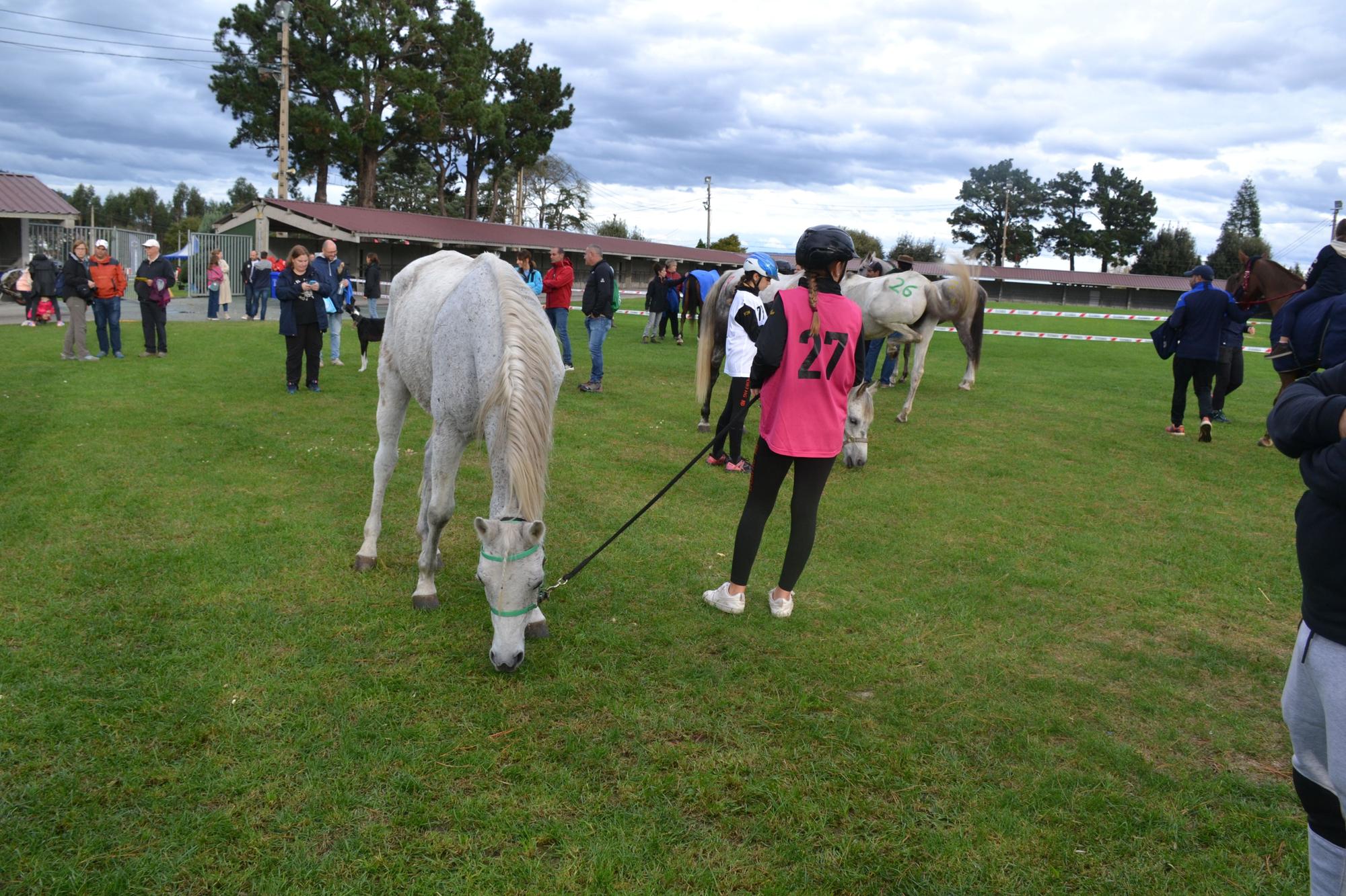 En imagenes: Campeonato de España raid interautonomías en Llanera