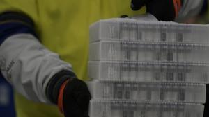 Pfizer busca autorització dels EUA per a una dosi anti-Covid de reforç