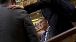 Alberto Núñez Feijóo, PP, en el Congreso de los Diputados.