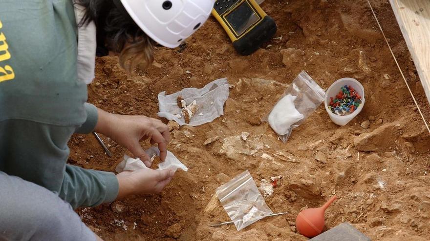 Hallan evidencias de presencia humana en Atapuerca hace unos 600.000 años