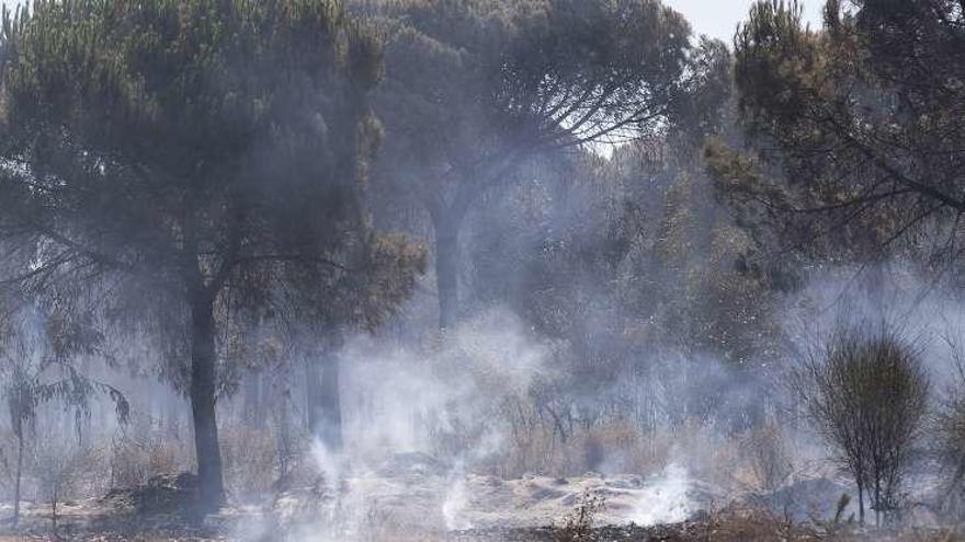 Estabilizan varios focos del incendio que amenazó al parque de Doñana