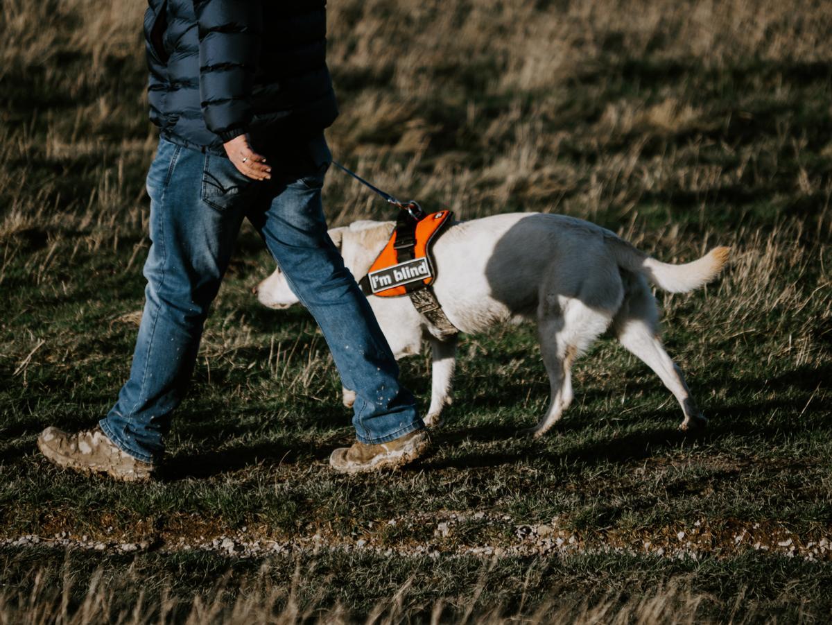 Una persona ciega camina junto a un perro guía.