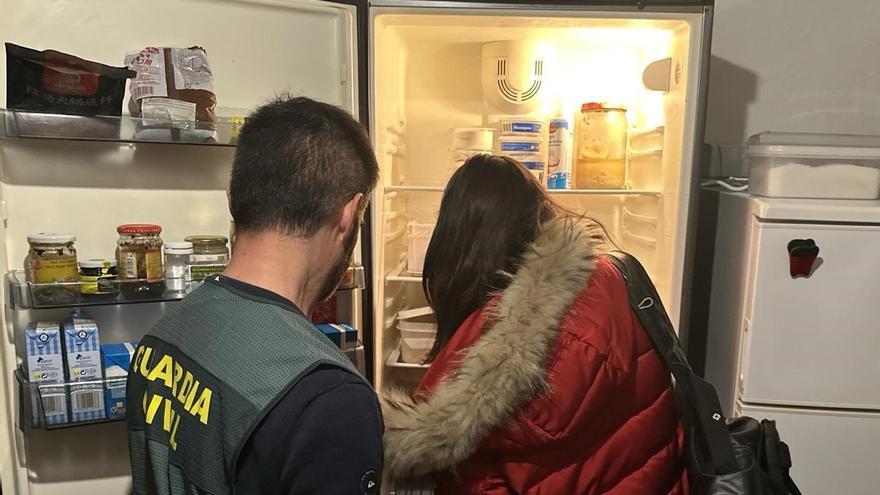 Salud clausura una actividad clandestina de elaboración, servicio y venta de alimentos en una parcela de Mallorca