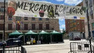 Caracoles y música en directo en el mercado ecológico de Zamora