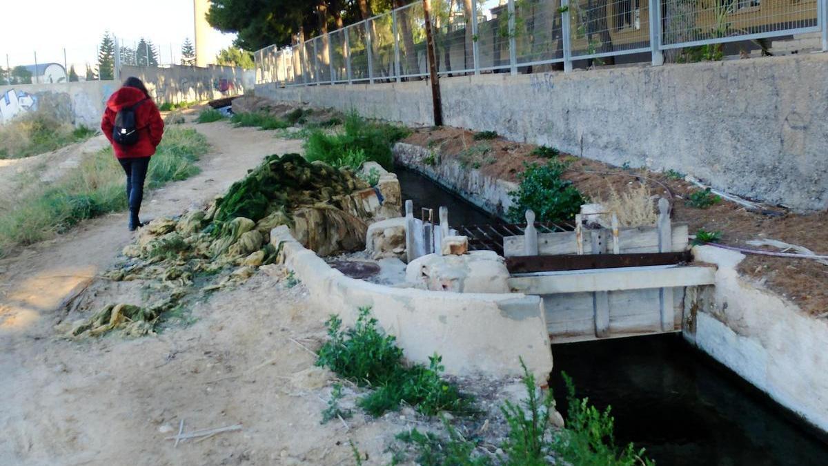 Un partidor de la Acequia Mayor del Pantano de Elche, en el tramo urbano