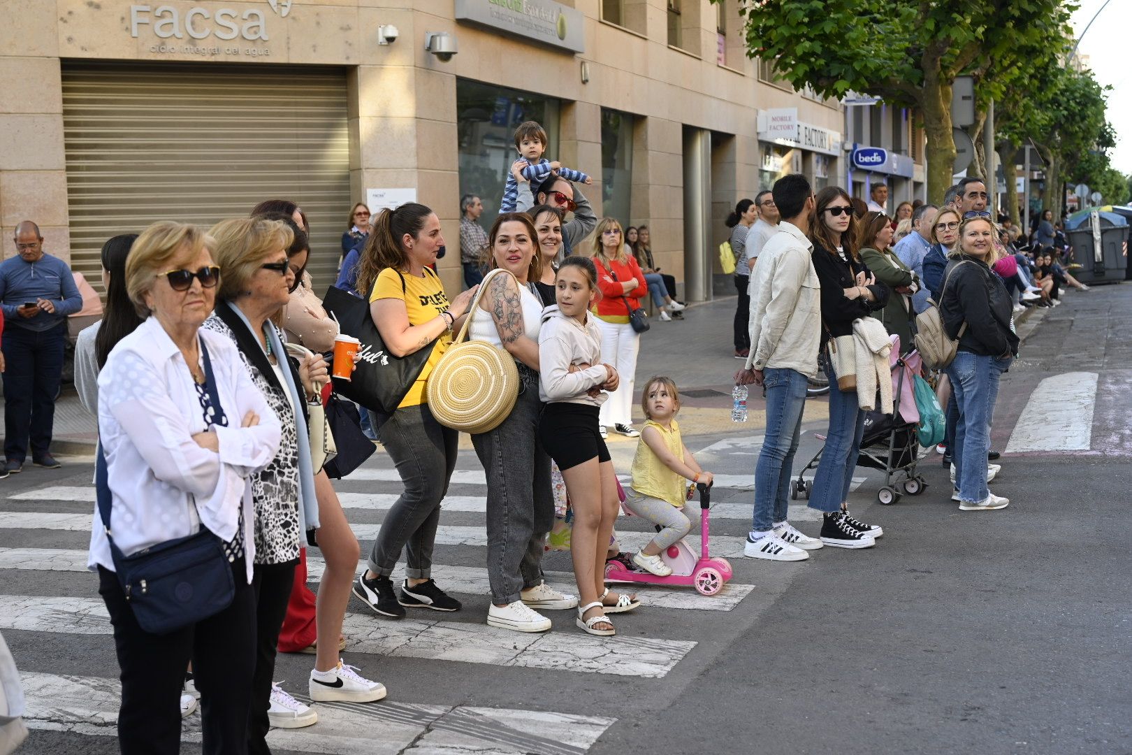 La cabalgata de Sant Pasqual en Vila-real, en imágenes