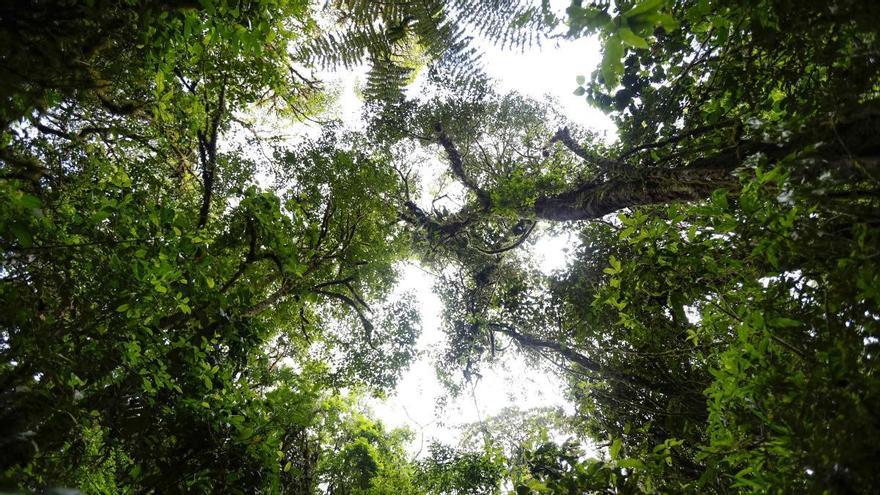 La ley de restauración de la naturaleza se atasca a última hora entre los gobiernos europeos