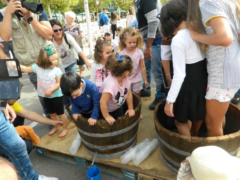 Fiesta de la Vendimia en Moraleja del Vino