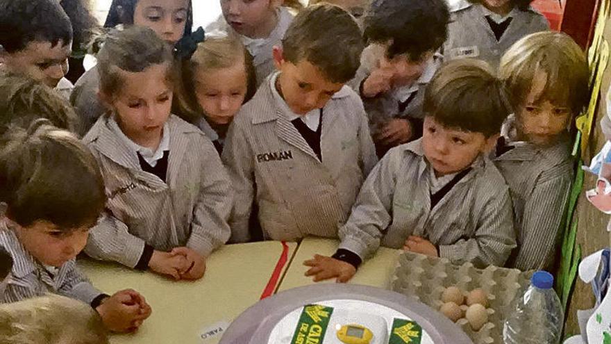 Los alumnos de las Teresianas, ante la incubadora de pita pinta.