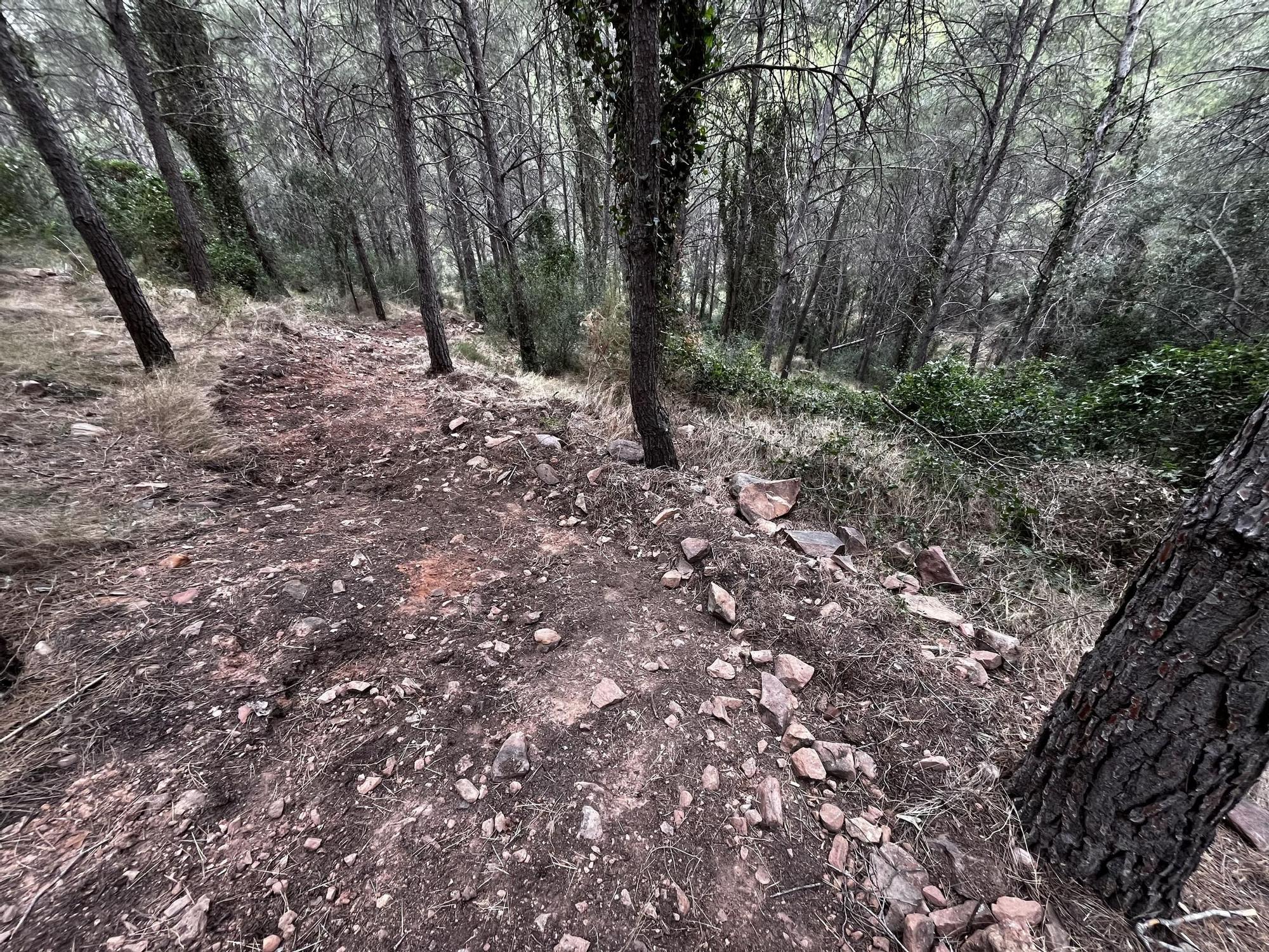 Las imágenes de la pista ilegal abierta en la Vilavella para practicar BTT