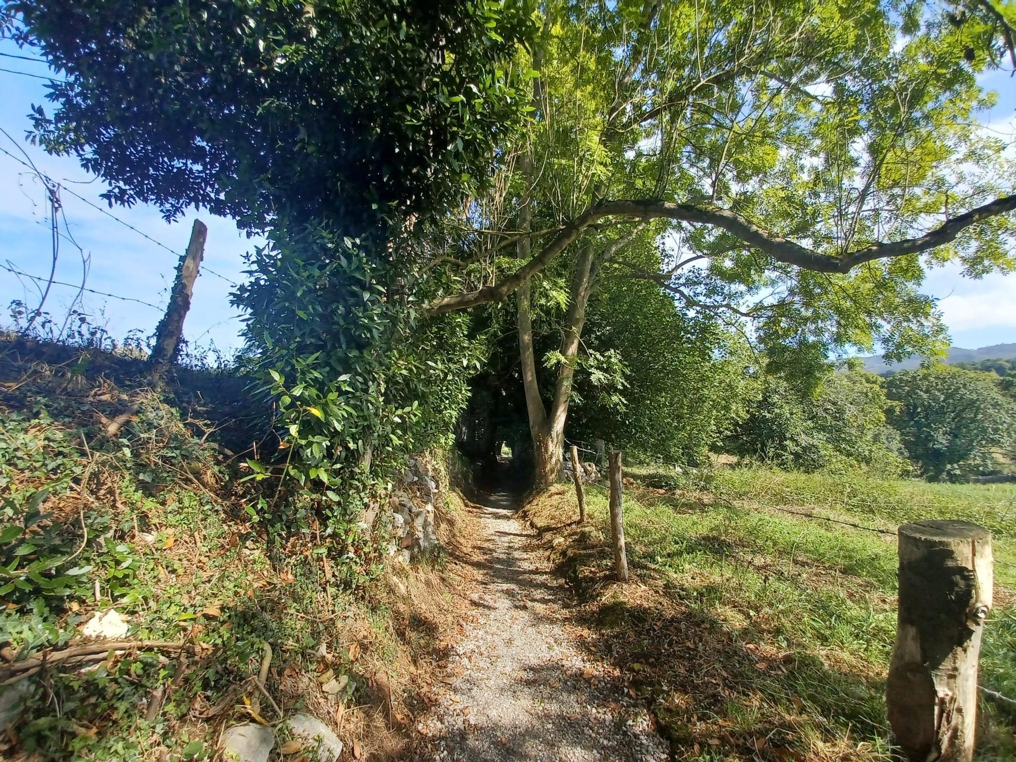 La ruta de Los Covarones, las mil y una estampas de cuento de la senda más visitada de Llanera