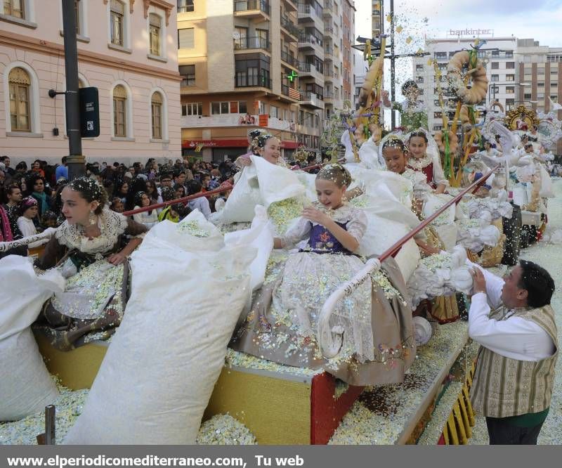 Galería de fotos -- Espectacular  Coso Multicolor