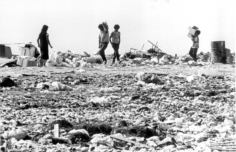 De vertedero a paisaje idílico: el proceso de recuperación de O Zondal