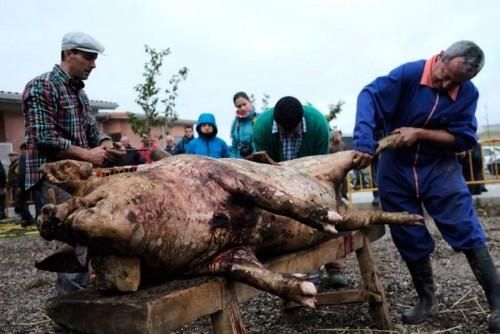 Matanza tradicional en Monfarracinos