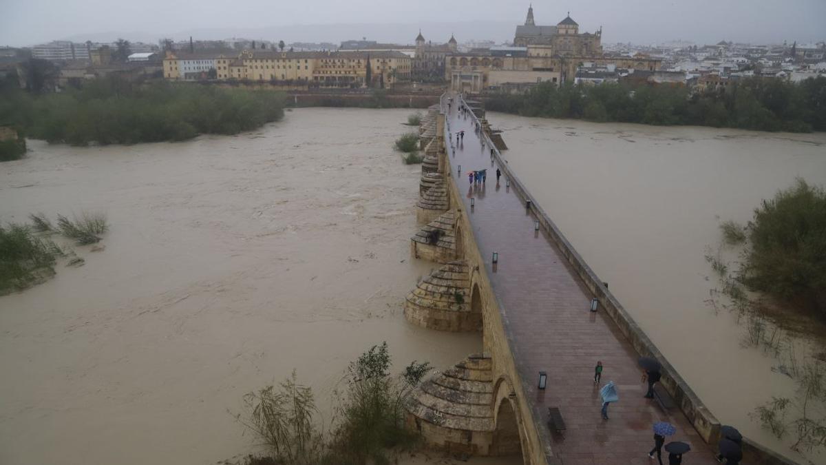 El Guadalquivir entra en el umbral naranja a su paso por Córdoba