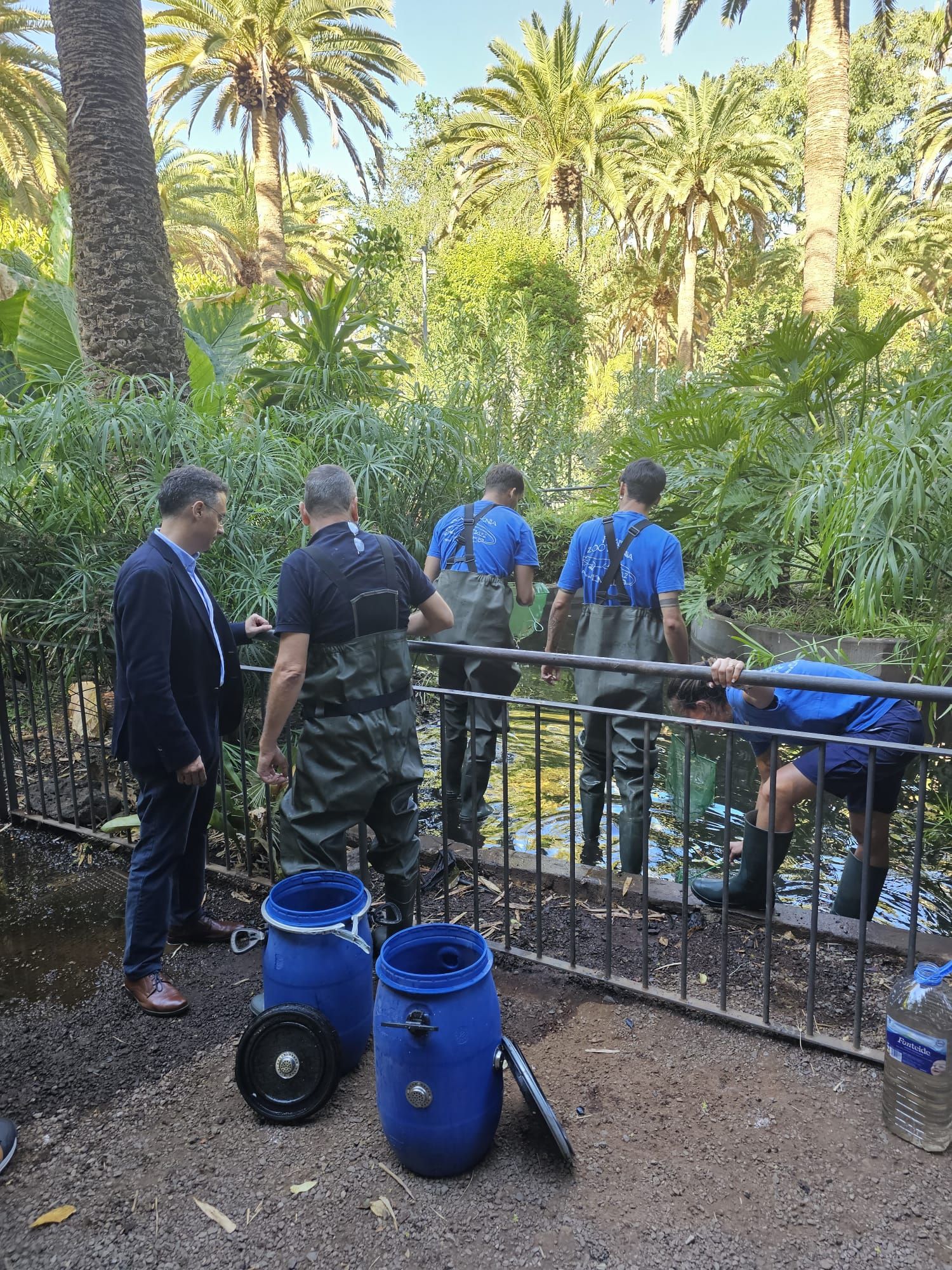 Comienzan los trabajos contra los cangrejos del río que aparecieron en el parque García Sanabria