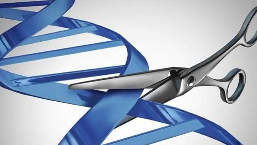 China aplica la técnica CRISPR de Mojica en un paciente con cáncer