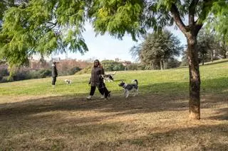 Desencallada la llegada de la L1 a Badalona: Generalitat y Ayuntamiento pactan reducir su impacto en un gran parque