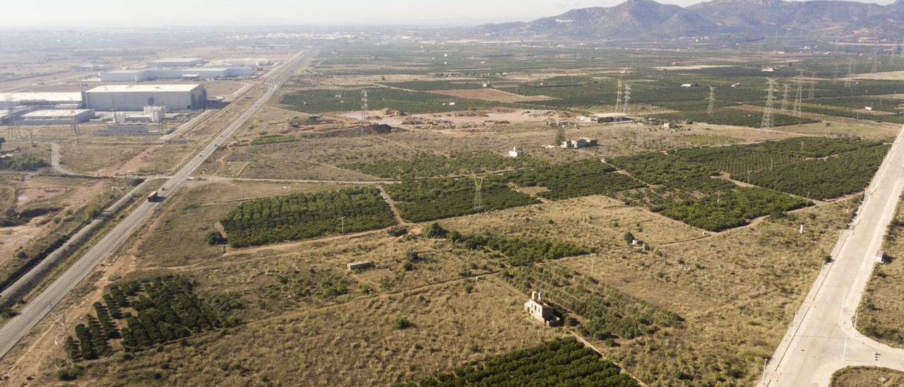 Vista de los terrenos donde está previsto Parc Sagunt II. | LEVANTE-EMV