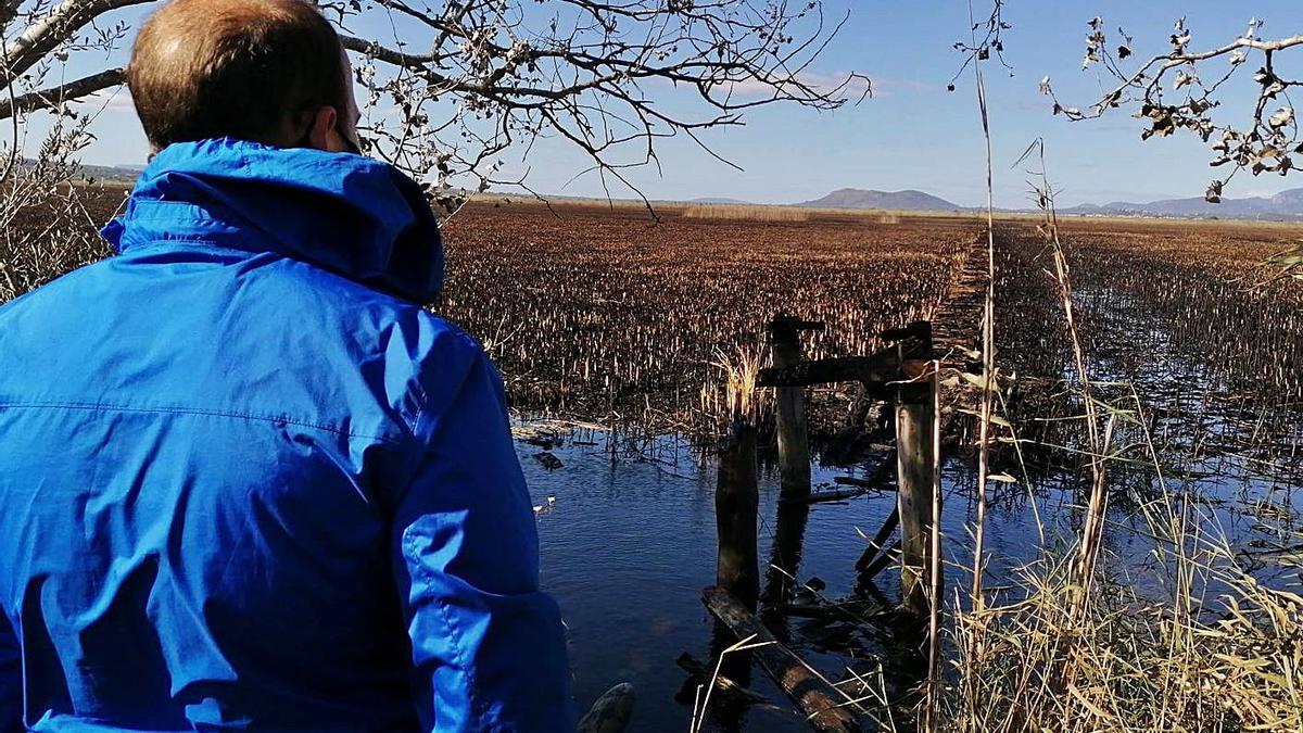 “El cañizo es fundamental para varias aves protegidas”