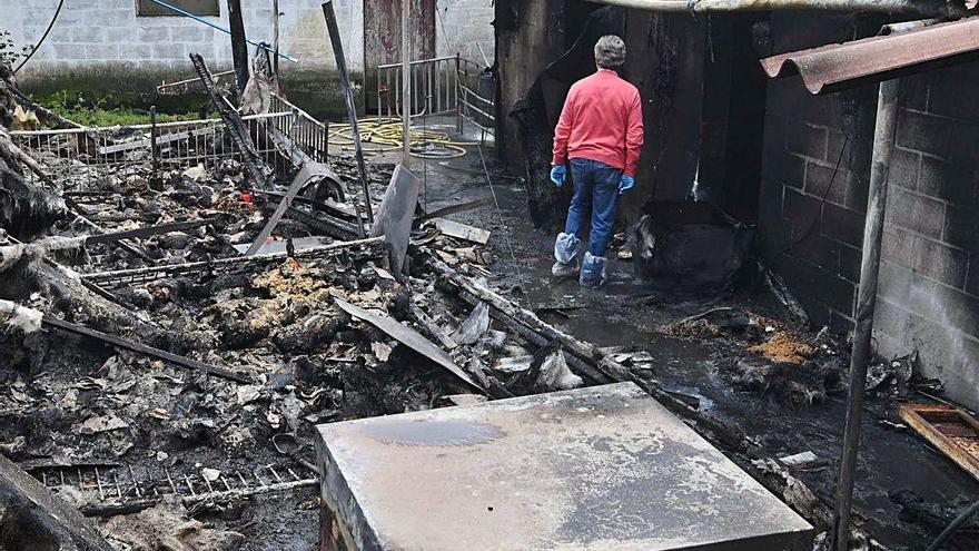 Mueren 200 lechones en Culleredo