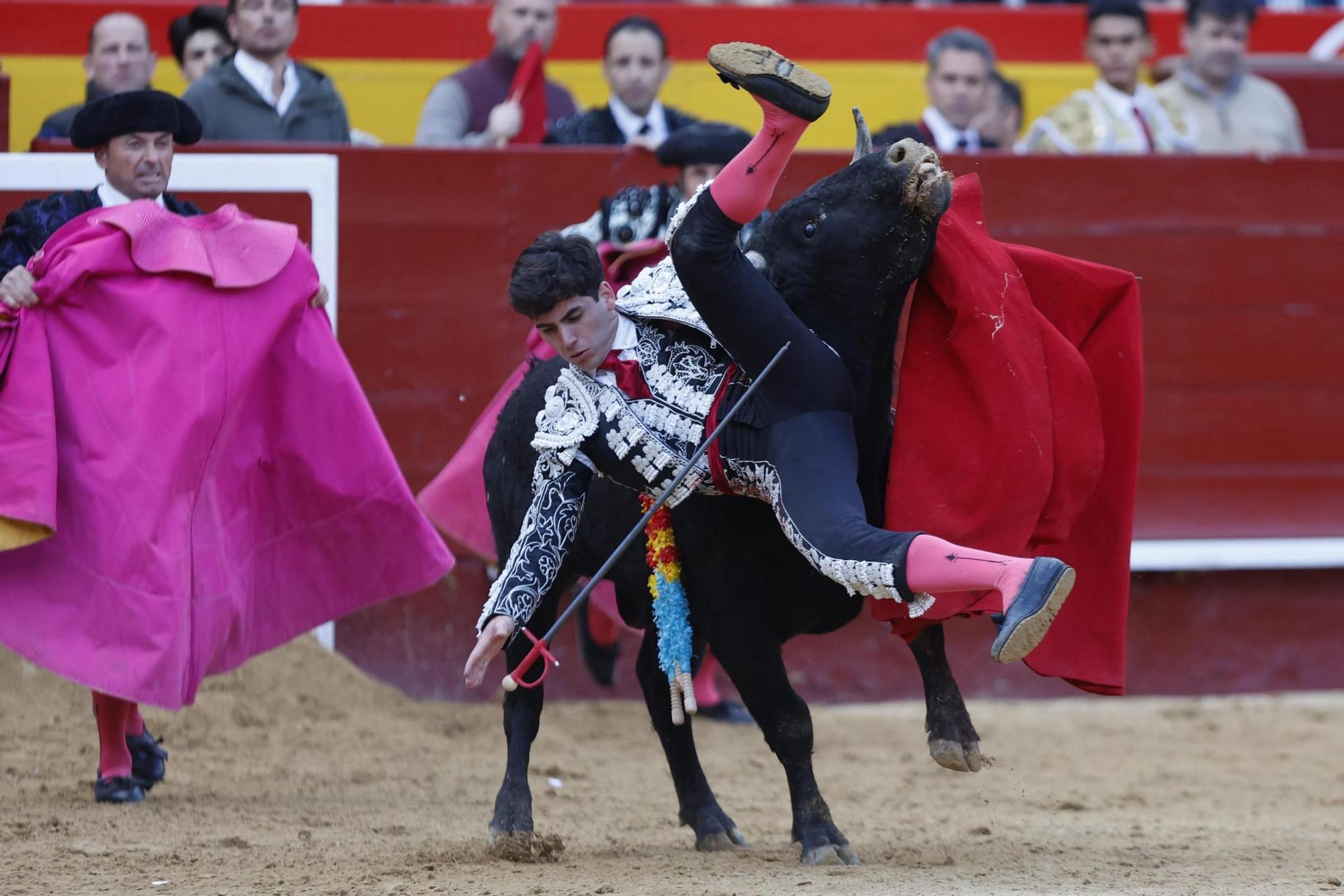 La novillada sin picadores de la Feria de Fallas, en imágenes