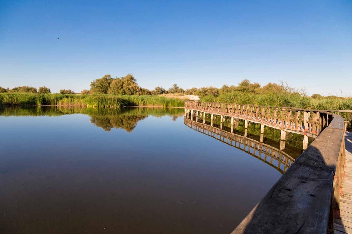 Tablas de Daimiel