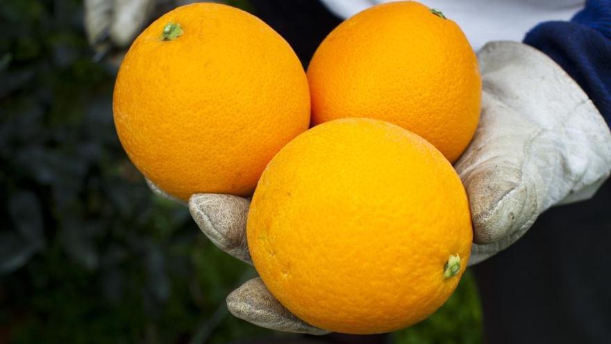 Naranjas con aún más antioxidantes