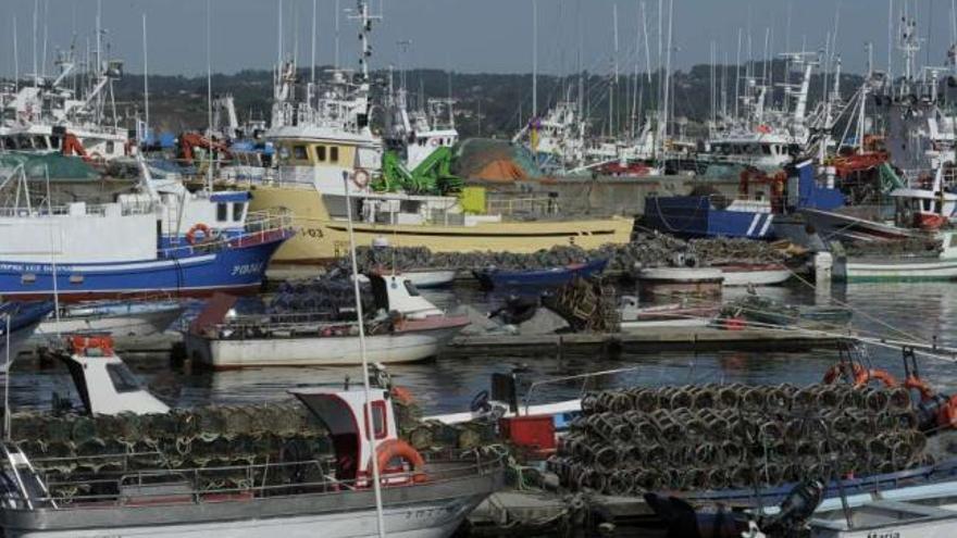 Flota pesquera amarrada en el muelle coruñés de Oza. / víctor echave