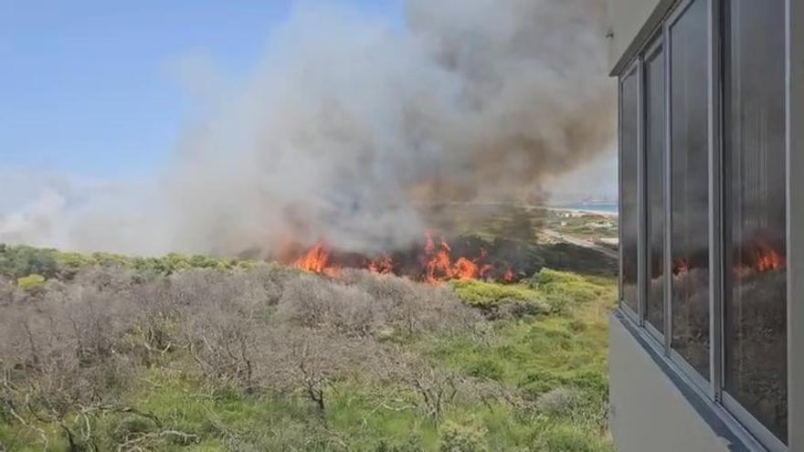 Los bomberos se movilizan por un incendio en la Devesa del Saler