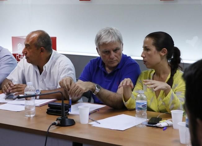 Delia Padrón Comisión Ejecutiva Regional del PSOE de Canarias , Miguel Ángel Pérez ,  Patricia Hernández y Julio Cruz entre otros