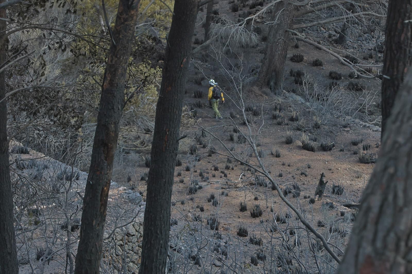 FOTOS | Dan por controlado el incendio de Andratx