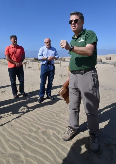 13/05/2019 MASPALOMAS. SAN BARTOLOME DE TIRAJANA. El presiddente del Cabildo de Gran Canria, Antonio Morales, y el consejero de Medio Ambiente y Emergencias, Miguel Ángel Rodríguez, informan del inicio de la segunda fase del proyecto para la recuperación de las dunas de Maspalomas, Masdunas, pionero en el mundo por sus carcterísticas .    Fotógrafa: YAIZA SOCORRO.  | 13/05/2019 | Fotógrafo: Yaiza Socorro