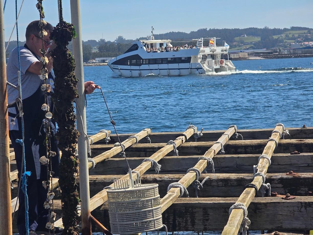 Imagen que deja un viaje por la ría a bordo de un catamarán de Cruceros del Ulla Turimares.