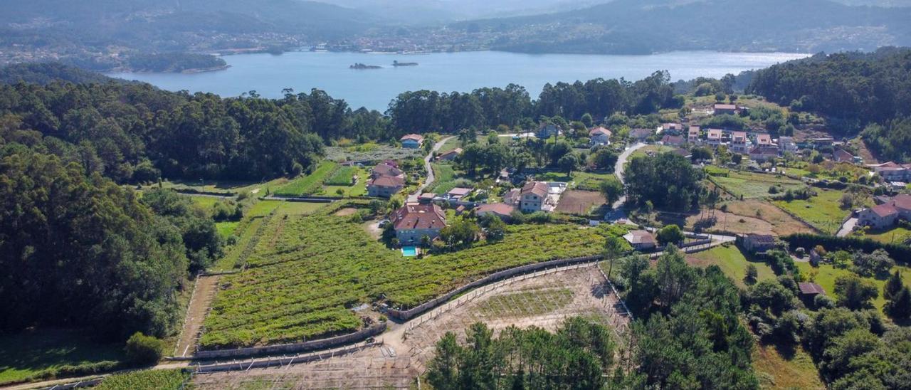 Una vista aérea de la bodega Os Areeiros, en Vilaboa, dentro de la IXP Ribeiras do Morrazo. |   // FDV