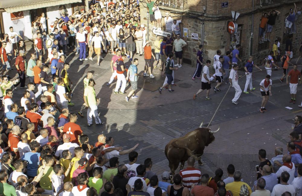 La carrera del Toro Enmaromado 2017 Razonador