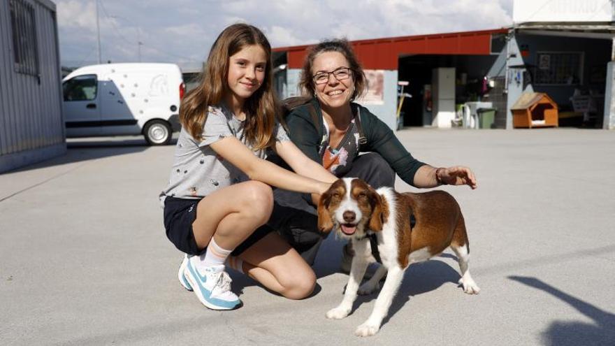El refugio de Os Palleiros cada vez rescata a más perros