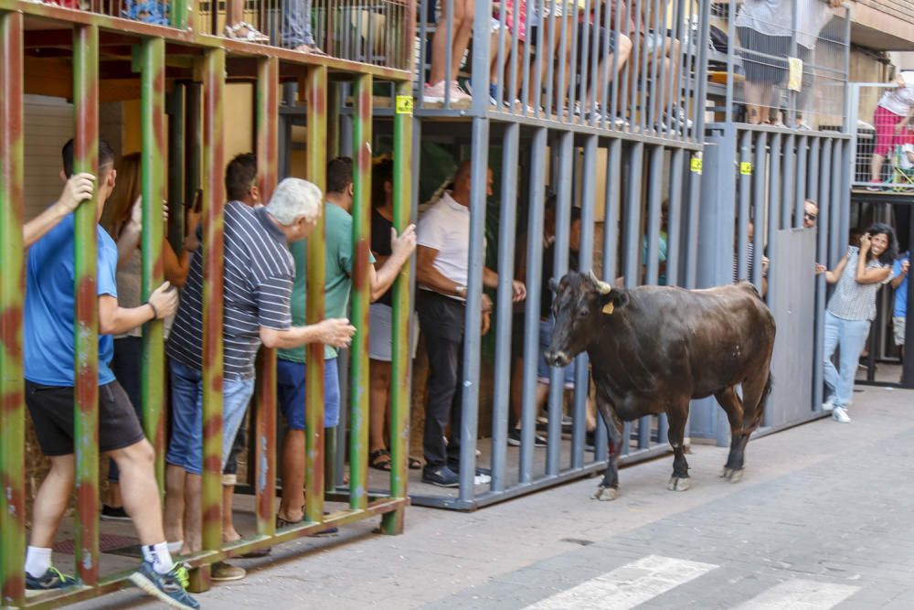 Fiestas de la Vaca de Castalla.