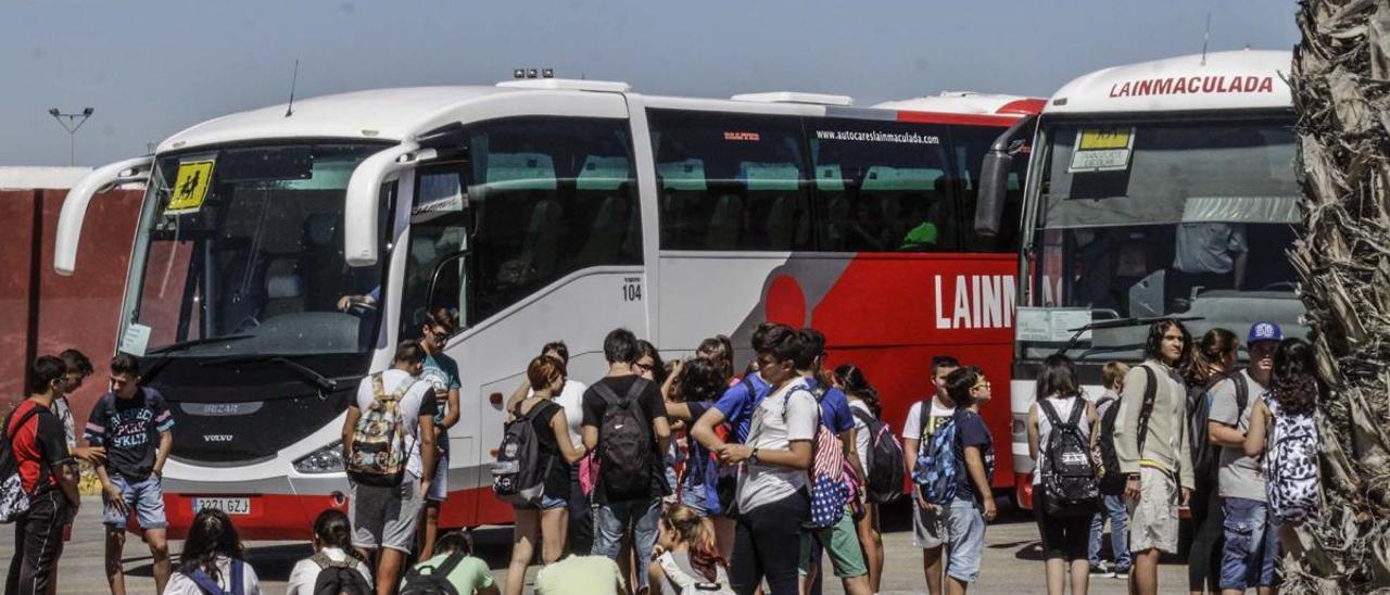 Imagen de autobuses de La Inmaculada en un instituto de Torrevieja/ Foto TONY SEVILLA