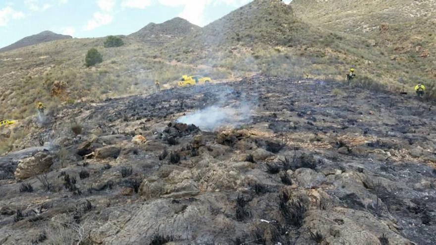 Incendio de monte bajo en Cañada de Egea