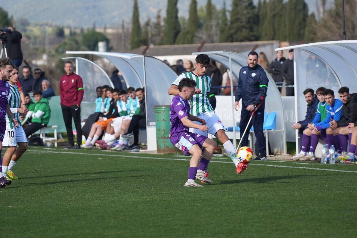 El Córdoba B - Cuidad de Lucena, en imágenes
