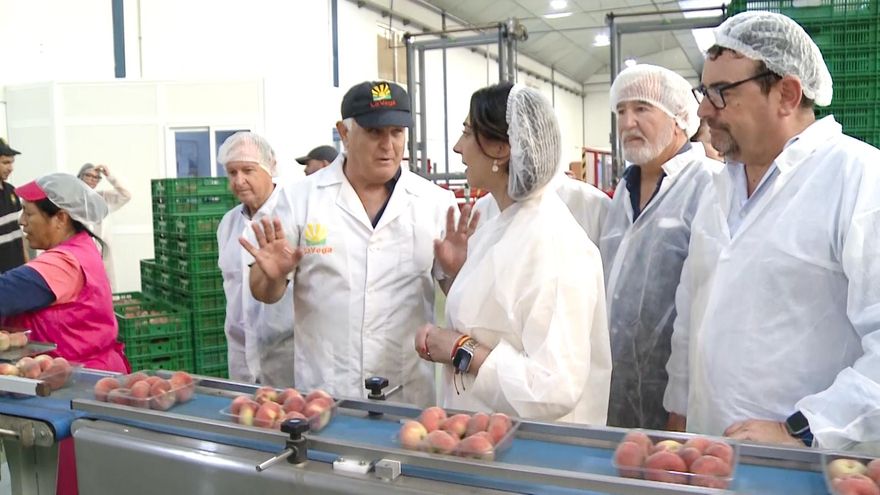 La cosecha de fruta de hueso, mermada por el granizo, alcanzará las 350.000 toneladas