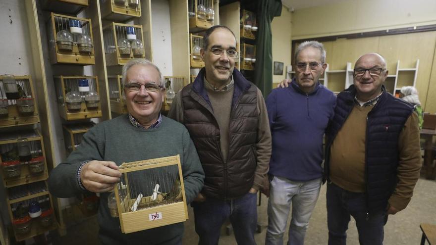 EN IMÁGENES: Concurso de canto timbrado de canario en Oviedo