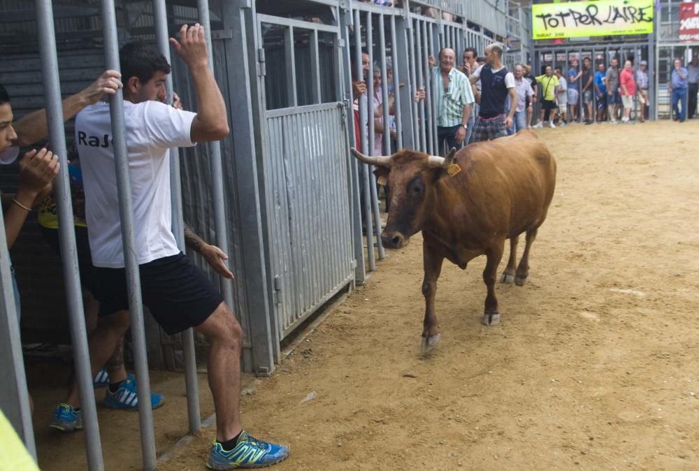 Fiestas de Sagunto. Recinto taurino.