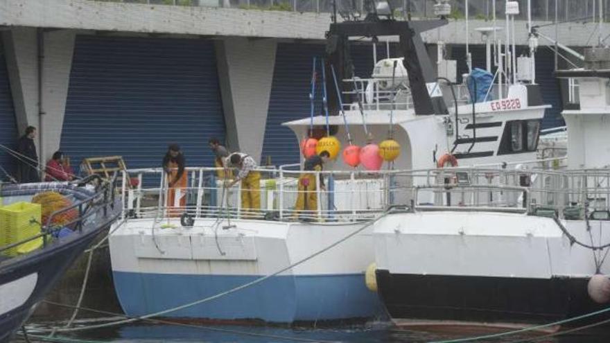 Varios marineros preparan los buques en el puerto de A Coruña para salir a faenar. / víctor echave