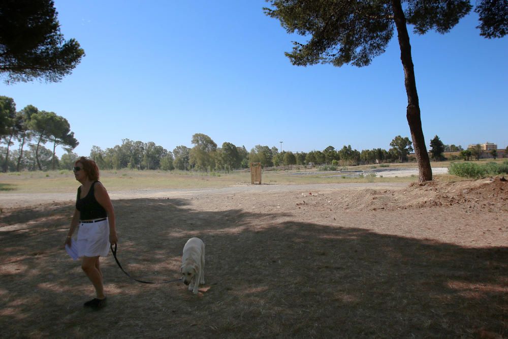 Inauguración del parque del Campamento Benítez.