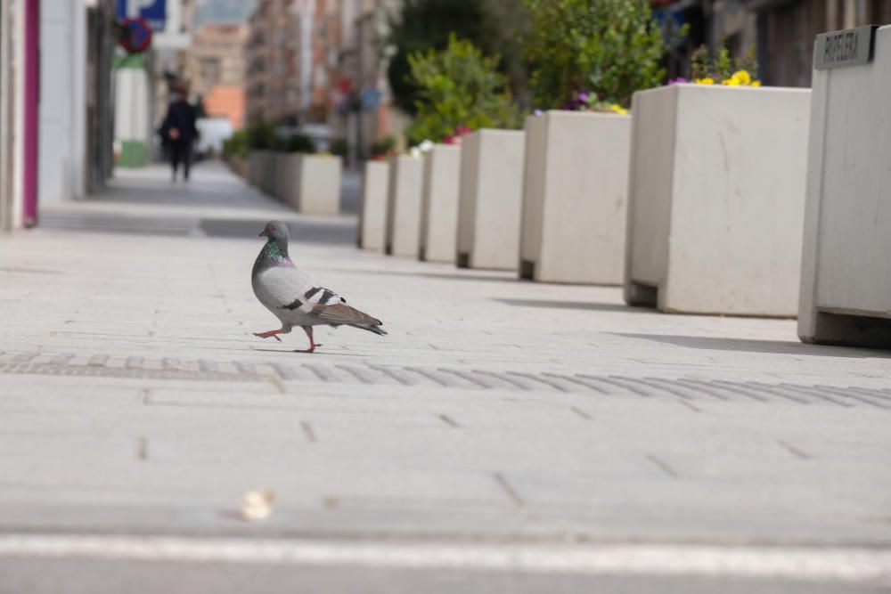 Las imágenes del día en la ciudad